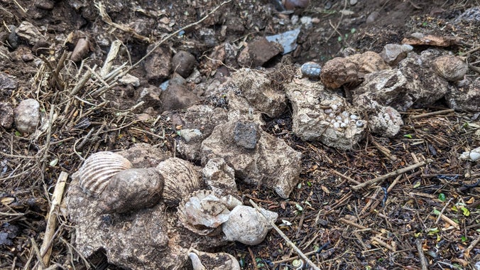 The archaeological material in the ground